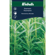 Frö Rosmarin Weibulls